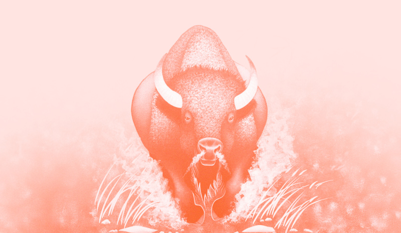 A stylised illustration of a bison in a monochromatic coral tone, charging forward through grass and dust against a soft pink background.