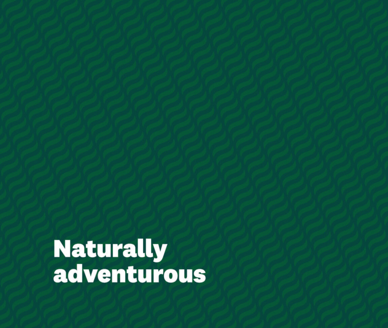 Green background with subtle wave pattern and bold white text reading “Naturally adventurous.”